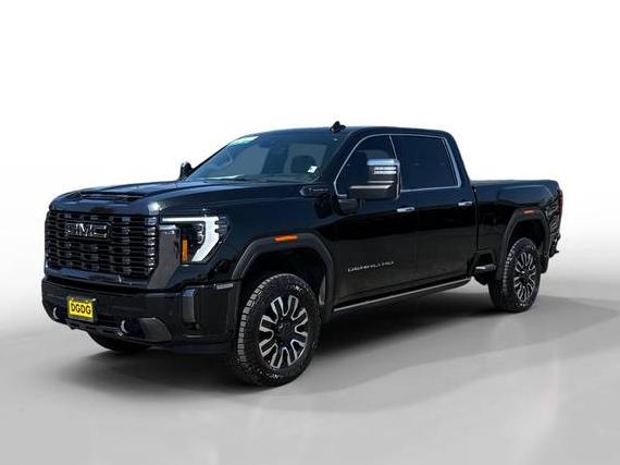 GMC SIERRA HD 2024 1GT49XEY0RF187443 image